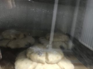 麦麸皇冠面包,把面团入发酵箱进行二次发酵。