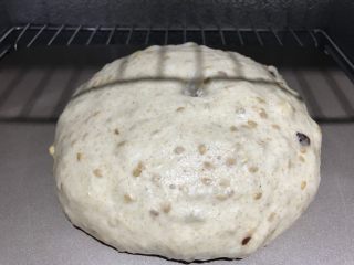 麦麸皇冠面包,戳洞不回弹不塌陷，即发酵完成。