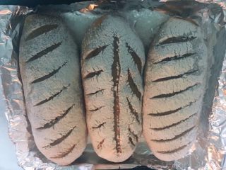     可可麻薯坚果欧包
,继续发酵，直至发酵到初始的两倍大小。
烤箱预热180度，上下火，25分钟左右出炉，中途观察面包表面上色情况，上色后可以盖上一层锡纸，防止表面上色过深