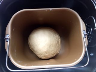 家有烤箱+酸奶椰蓉奶黄面包,揉好的面团盖上盖子进行第一次发酵。