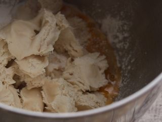 豆沙扭扭包,将发酵好的种面撕成小块加入主面团材料中一起揉面