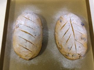 南瓜软欧包,用刀片在面包表面割出纹路。