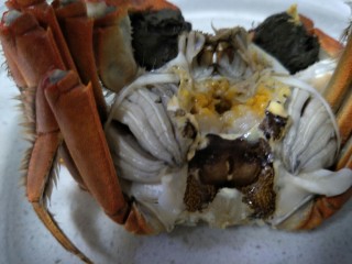 蒸大闸蟹,蟹身上的两边的蟹心和蟹肺丢掉不吃。