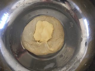三叶草面包,加入黄油继续揉匀。
醒发1个小时，至面团是原先的1.5倍左右。