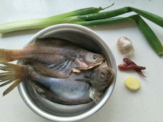 红烧鱼,准备食材:偏口鱼两个，葱一根，辣椒，姜和蒜。