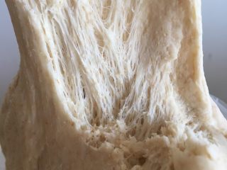 奶酪吐司（70%中种法）,发好的中种面团成蜂窝状