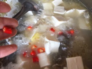 鲫鱼豆腐汤,接着加入辣椒继续煲煮