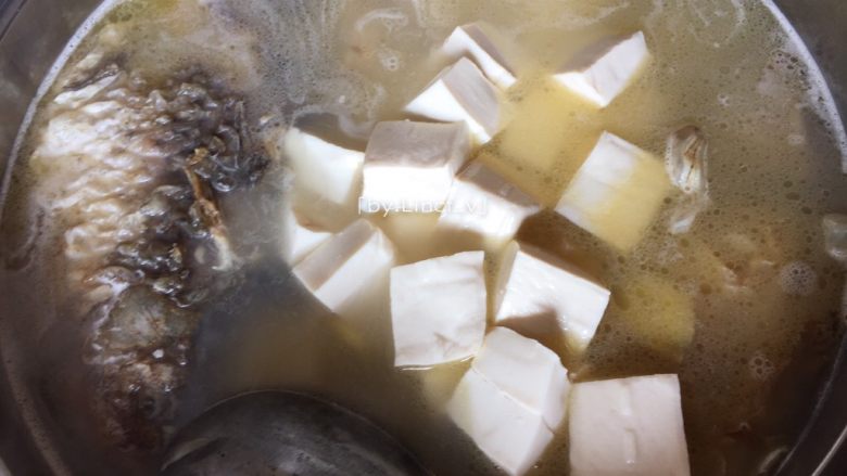 鲫鱼豆腐汤,放入汤中一起煲煮至汤水发白