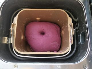紫薯面包,将面团从面包机里拿出来，然后把面团整圆，放回面包桶里发酵，时间设置一个小时。面团发酵两倍大，手指粘面粉戳洞，洞口不会缩不塌陷，面团即发酵完成。