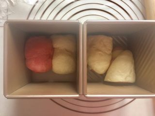 双色水立方吐司面包,把搞定的面团放入学厨模具水立方吐司模中
