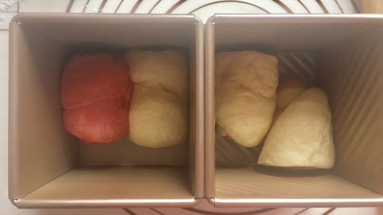 双色水立方吐司面包,把搞定的面团放入学厨模具水立方吐司模中
