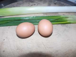 简简单单蛋炒饭,准备大葱，小葱，鸡蛋。