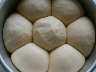椰蓉面包（8寸圆模）,发酵至2倍大取出来，擦干烤箱内的水汽，烤箱160度预热