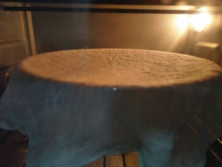 迷你脆皮肠卷,将面团放入盘中盖湿布放入烤箱，开启发酵功能发酵一小时。因为现在气温没达到28度以上所以借用烤箱发酵。