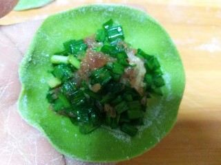 翡翠白菜饺子,韭菜肉馅放在饺子皮中间