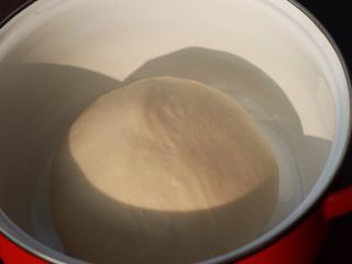 葱香肉松面包卷,整理一下面团，滚圆密封，放在约28度左右环境下发酵
