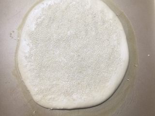 白芝麻佛卡夏,撒上白芝麻，喜欢白芝麻多撒一点，按压让白芝麻嵌在面包胚上。烤箱放入一碗热水，启动发酵模式。