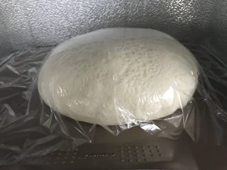 中种奶酪白吐司~ GOURMETmaxx揉大面团记录,我是卡士发酵箱28度发了3个小时。