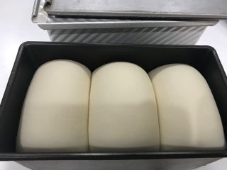中种奶酪白吐司~ GOURMETmaxx揉大面团记录,发到差不多8分满。
