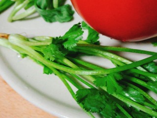 暖胃又舒服的番茄鸡蛋疙瘩汤,所需食材～香菜