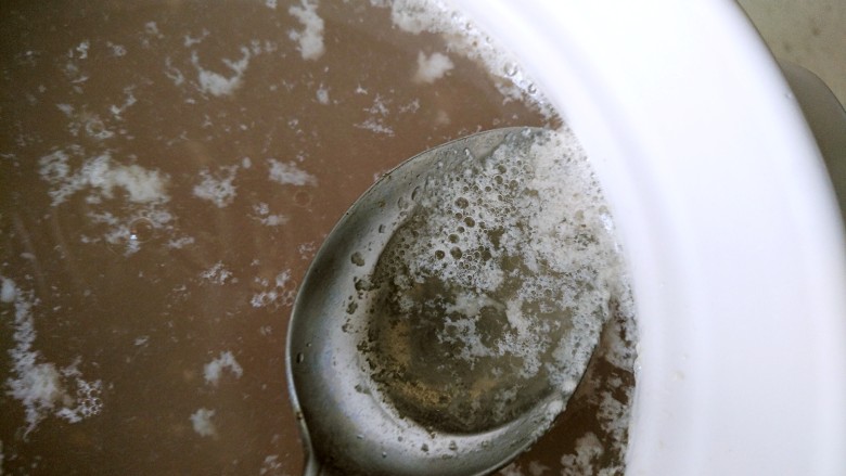 茶树菇排骨汤,煮开后，撇去浮末