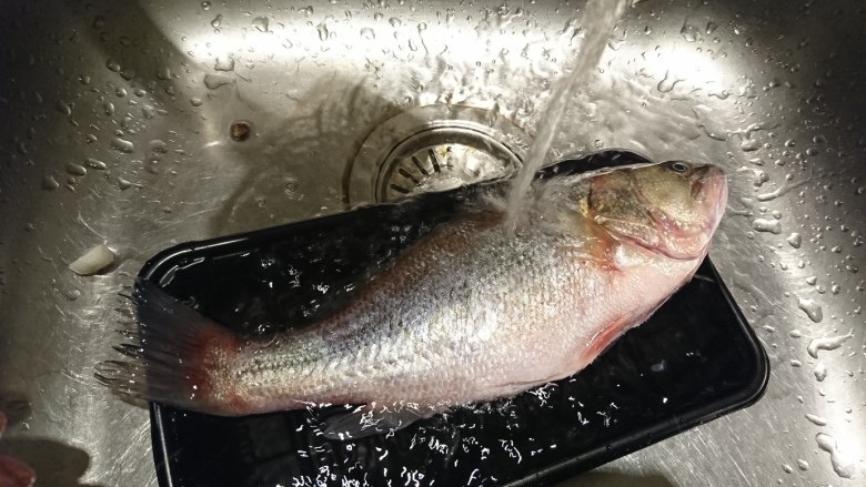 清蒸鱸魚,仔細清洗魚身，確認魚鱗、魚腮、魚內臟都清除。