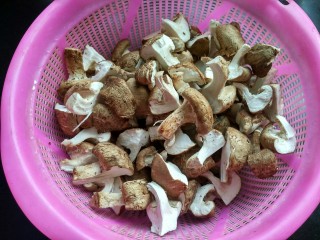 孜然香菇,准备好香菇，并撕成一小块一小块。