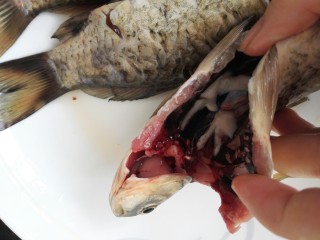 小鲫鱼烧萝卜,鲫鱼肚子中有一层黑膜必须去除干净