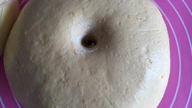 红枣黄豆粉吐司,发至两倍大，手指沾些面粉戳洞，不回缩不塌陷即可