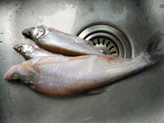 西红柿秋刀鱼汤,将鱼去除鳃和内脏，清洗干净