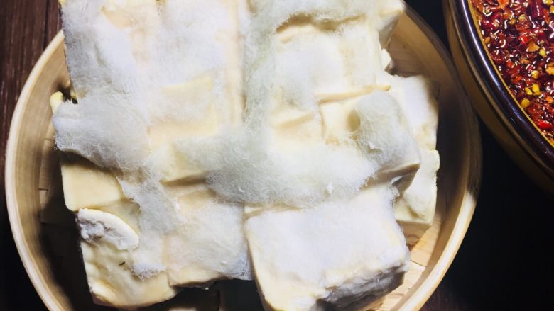 农家传统自制豆腐乳【详细版】,这是发酵好的豆腐，长了一层白白的毛！最健康的！如果是红色的和黑色的就不能吃了！