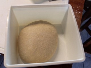 最爱面包+红豆面包,将面团覆盖后置室温箱发酵2小时。