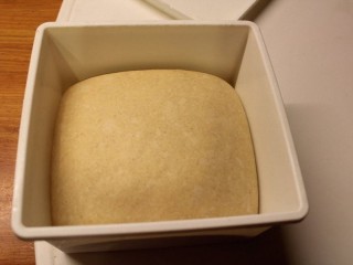 最爱面包+红豆面包,发酵后膨胀2倍大。