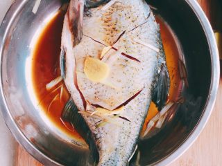 海鲜大咖,鱼放入葱丝  姜片   料酒  糖   蒸鱼油……腌制半个小时