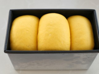 最爱面包+南瓜土司,再次发酵至满模状态