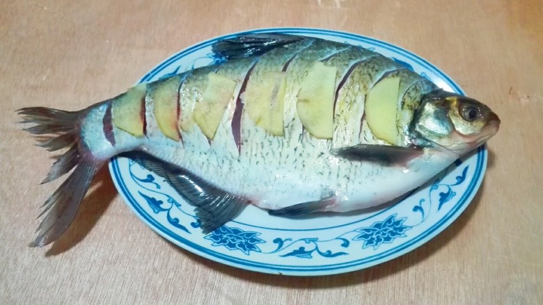 蚝白清蒸鳊鱼,腌制时间完成，鱼上面，下面，肚子里都放姜片