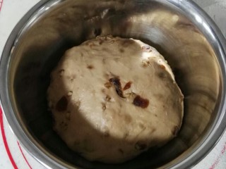 全麦红糖桂圆核桃软欧包,放入干净的容器里，盖上保鲜膜进行第一次发酵，建议28度一个小时，发酵至2倍大。