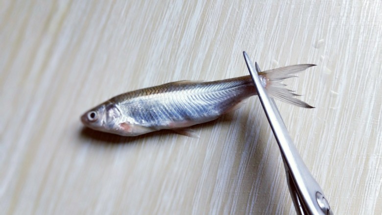 香炸小河鱼,将小河鱼的尾巴，鱼鳃剪掉。
