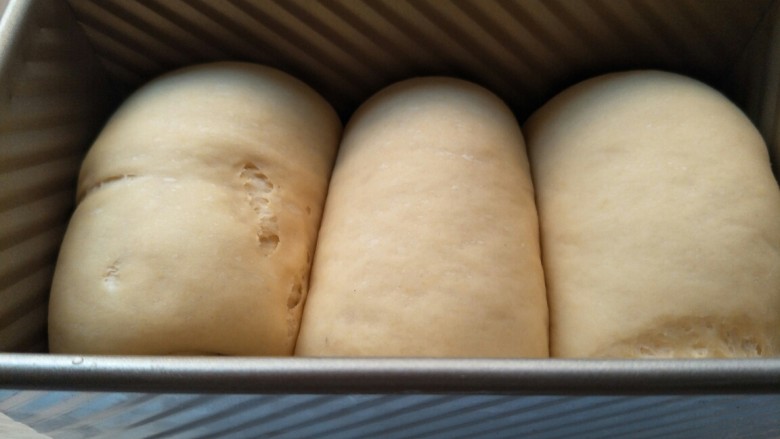 南瓜土司,发酵到九成满就可以进烤箱啦。今天我没盖土司盖，烤的时候上面可以放一张锡纸，以防烤糊。