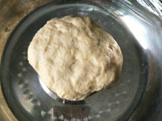 最爱面包+心形椰蓉面包,这就是揉好的中种面团，不用太光滑，看不见酵母颗粒即可，发酵至两倍大