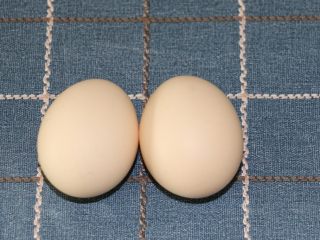 能量早餐之培根蛋卷,鸡蛋2个