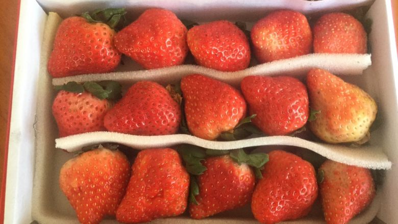 草莓大福,这是冬季的第一批草莓