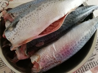 家常美味炖青鱼,首先将清鱼洗干净，去内脏,去头,剪尾。