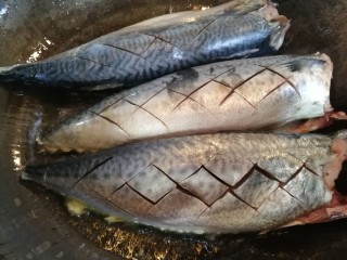 家常美味炖青鱼,将青鱼放入锅内，小火煎，