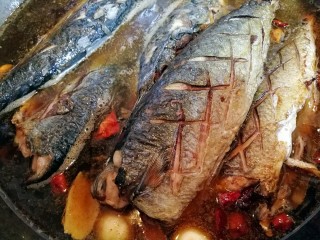 家常美味炖青鱼,将青鱼摆放在汤水中，大火烧开后，改小火慢炖，炖至收汤。