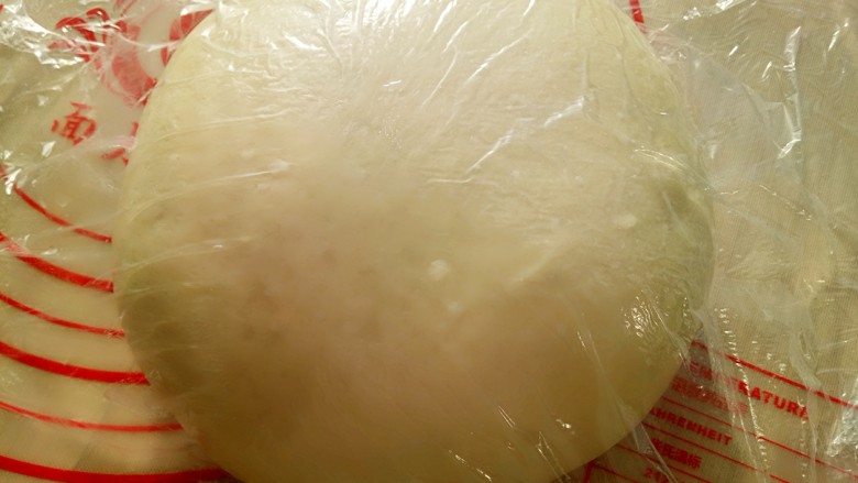椰蓉吐司,团好面团盖保鲜膜进行一发（温度不要超过28度）大概40分钟左右（冬天时间会长一点）。