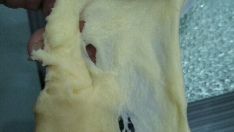 奶香椰蓉包,取一小块能初步见到面膜的状态