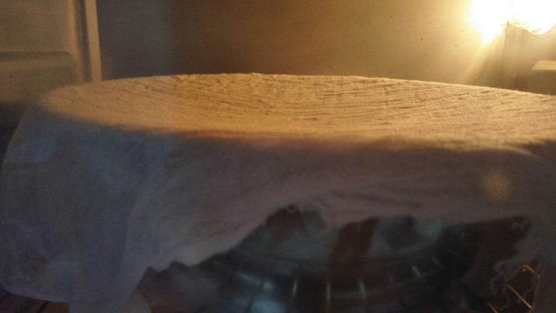 奶香椰蓉包,盖湿布冬天开启烤箱发酵功能发酵一小时，夏天可以室温发酵。