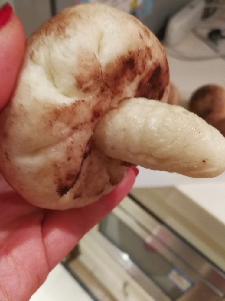 蘑菇豆沙包,放入蘑菇的尾巴