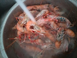 麻辣龙虾,把龙虾洗净，蓝色的是龙虾的籽。